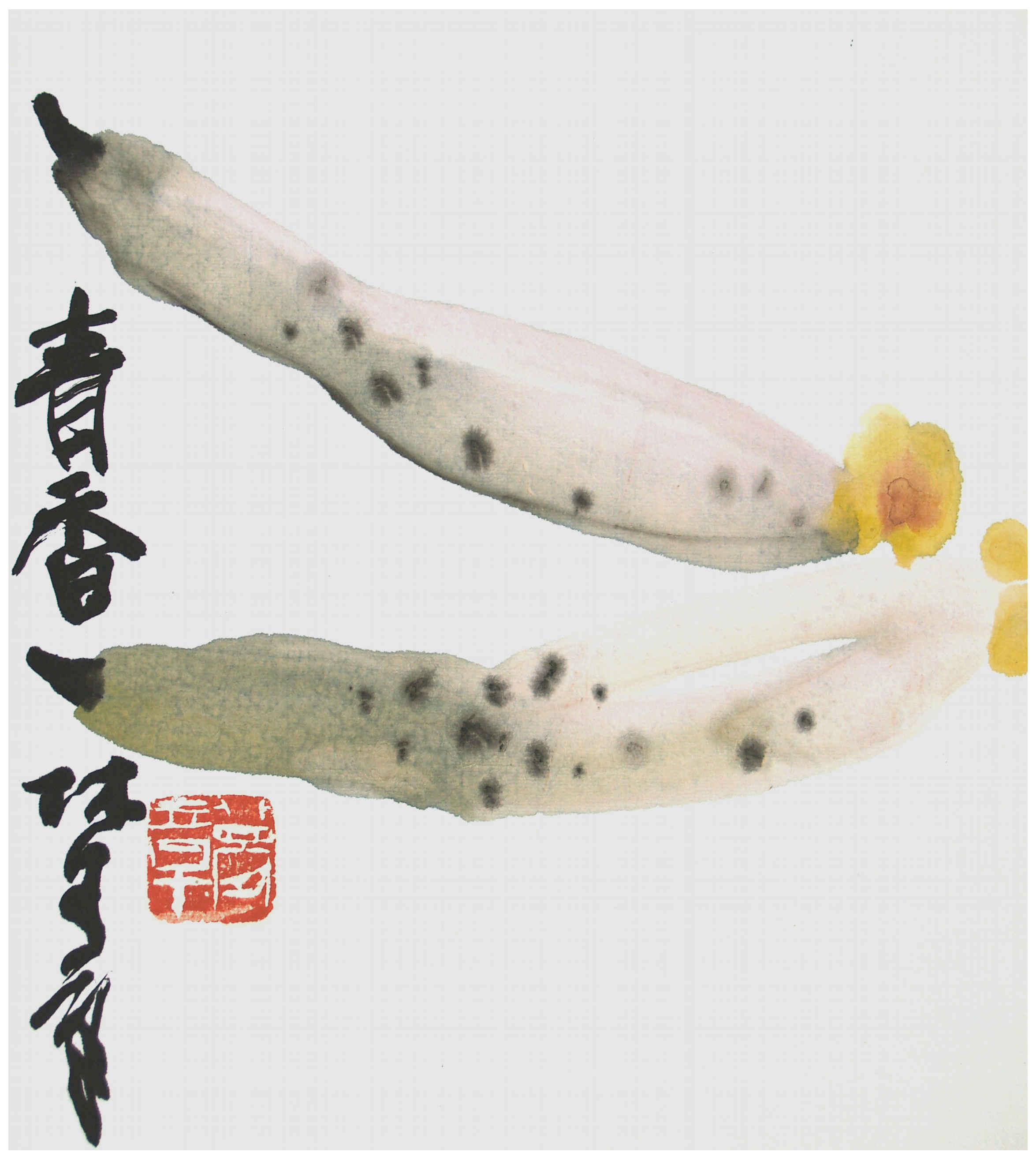 Qi Mengzhang 's freehand brushwork style ink wash painting (aka Chinese painting, literati painting, ink painting, ink brush painting): Cucumber, 27×24cm, ink & color