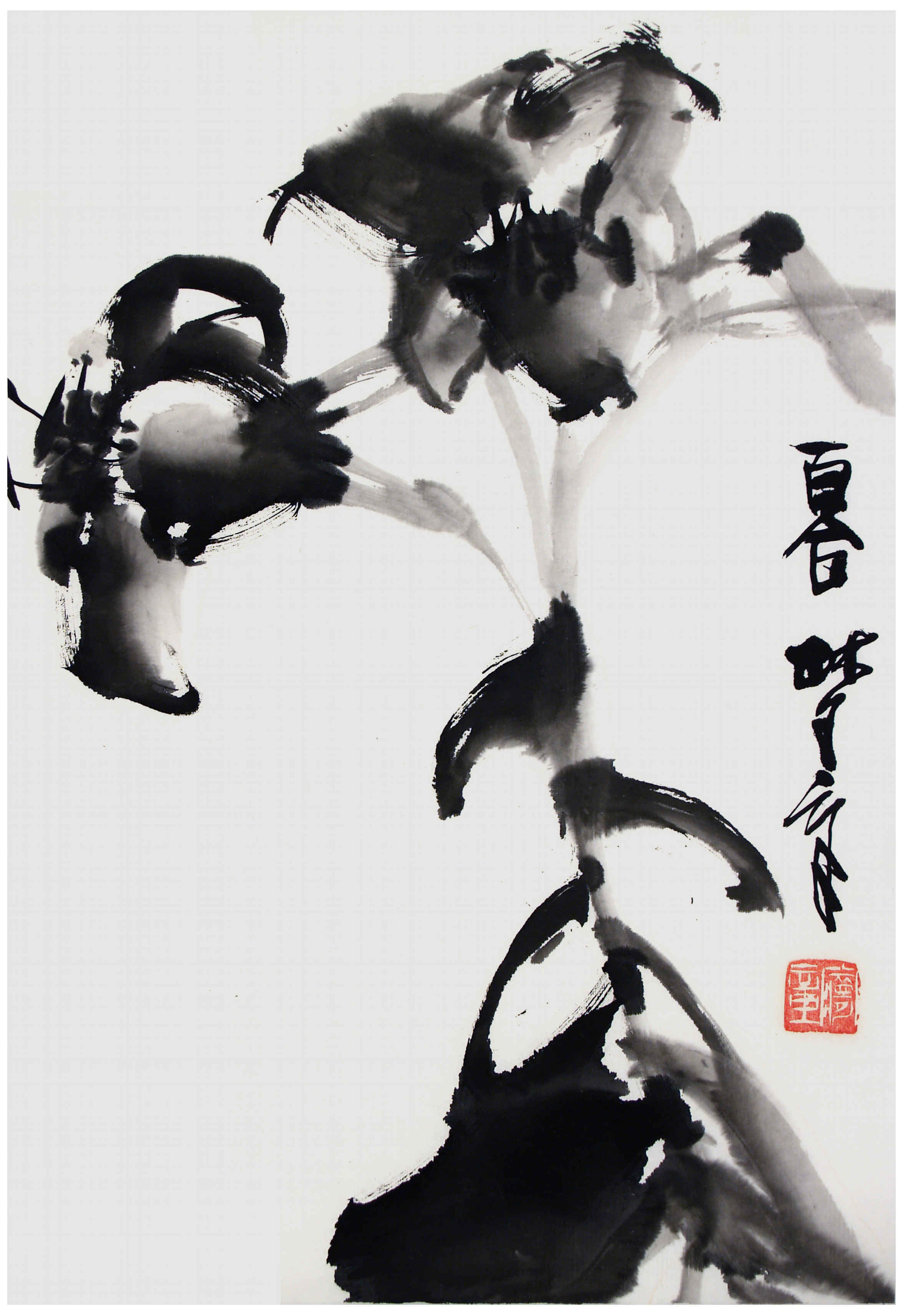 Qi Mengzhang 's freehand brushwork style ink wash painting (aka Chinese painting, literati painting, ink painting, ink brush painting): Lily, 51×35cm, ink