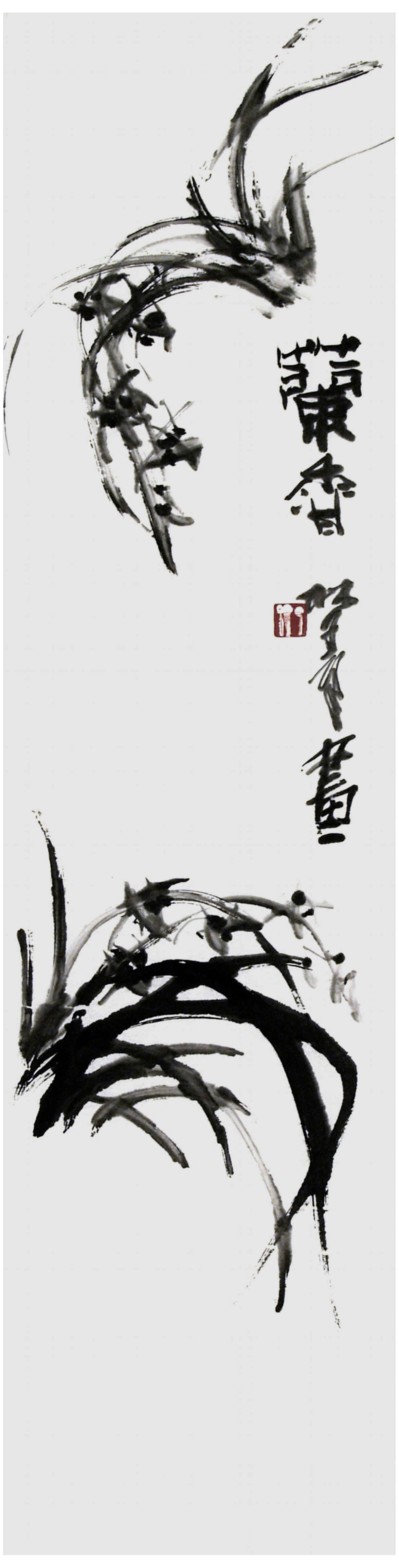 Qi Mengzhang 's freehand brushwork style ink wash painting (aka Chinese painting, literati painting, ink painting, ink brush painting): Orchid, 138×34cm, ink