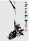 Qi Mengzhang 's freehand brushwork style ink wash painting (aka Chinese painting, literati painting, ink painting, ink brush painting): Pomegranate, 51×35cm, ink, thumbnail
