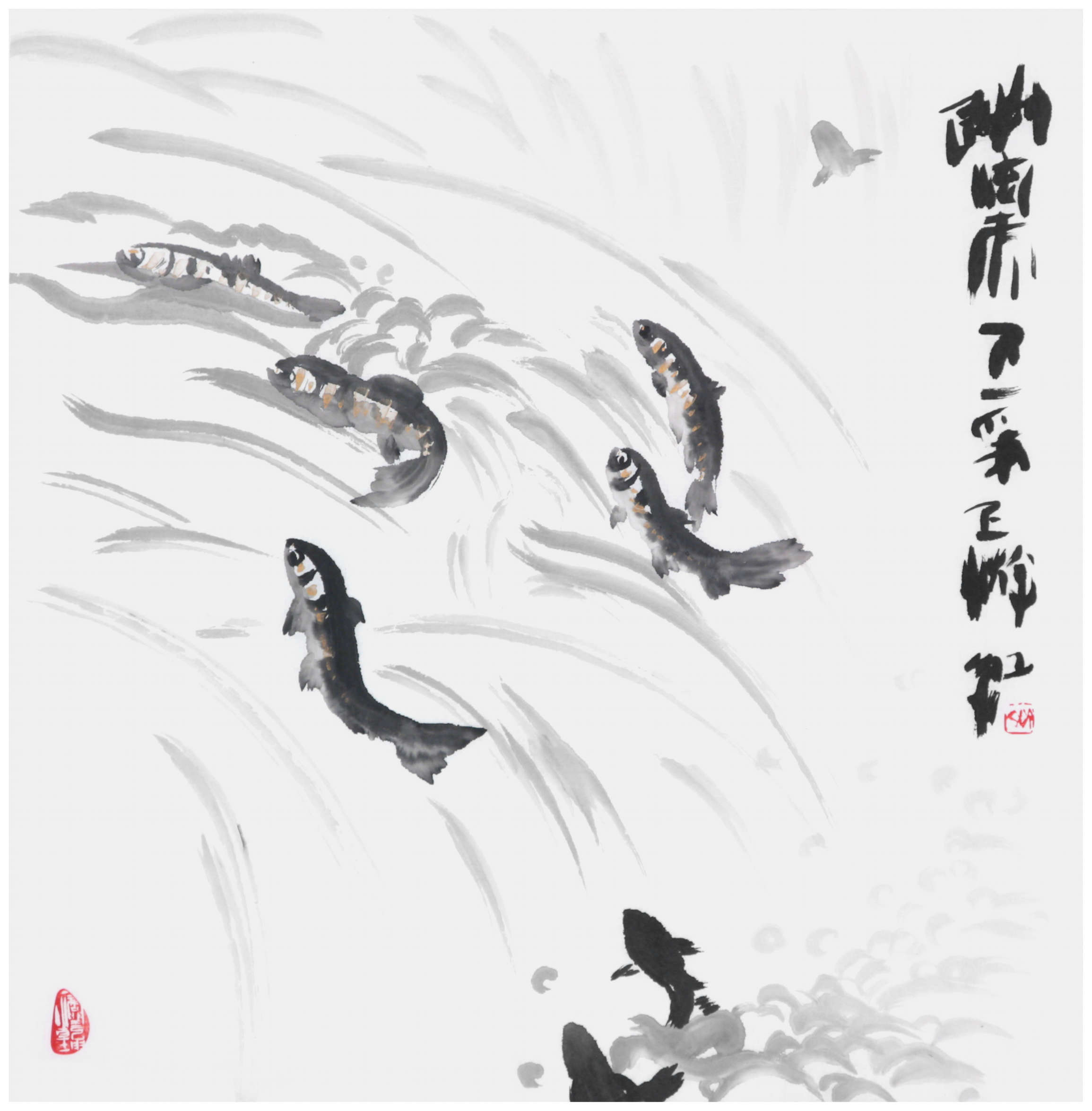 Sai Koh (Qi Hong)’s freehand brushwork Chinese painting (aka, bird-and-flower painting,  literati painting,  ink wash painting, ink painting, ink brush painting): Qinghai Lake Naked Carps Run Upstream, 69×68cm, ink & color on Mian Liao Mian Lian Xuan paper