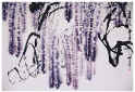 Qi Mengzhang 's freehand brushwork style ink wash painting (aka Chinese painting, literati painting, ink painting, ink brush painting): Wisteria 2, 180×120cm, ink & color, thumbnail