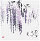 Sai Koh (Qi Hong)’s freehand brushwork Chinese painting (aka, bird-and-flower painting,  literati painting,  ink wash painting, ink painting, ink brush painting): Purple Wisteria 5, 69×68cm, ink & color on Mian Liao Mian Lian Xuan paper, thumbnail