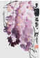Qi Mengzhang 's freehand brushwork style ink wash painting (aka Chinese painting, literati painting, ink painting, ink brush painting): Wisteria 3, 51×35cm, ink & color, thumbnail