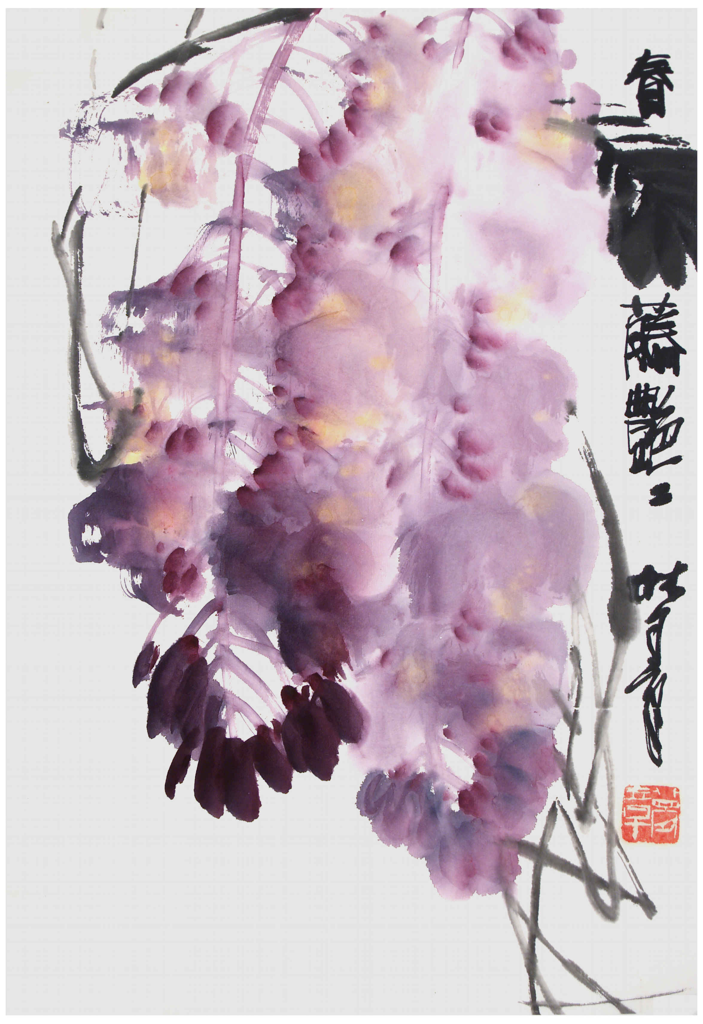 Qi Mengzhang 's freehand brushwork style ink wash painting (aka Chinese painting, literati painting, ink painting, ink brush painting): Wisteria 3, 51×35cm, ink & color
